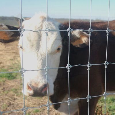 Goedkope prijs met hot sale fabriek leveranciers draadnet rol hert veld boerderij hek