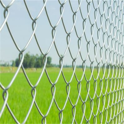 Zilveren Diamantdraadmaas gegalvaniseerd ketenheining hek 50 voet lengte
