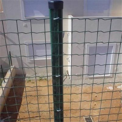 Gegalvaniseerde PVC gecoate Euro-stijl stalen hek Holland gaas hekwerk voor tuinen, parken