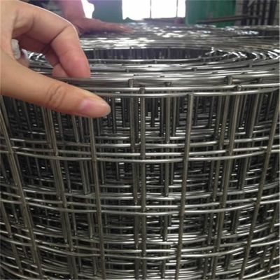 Roestbestendig gegalvaniseerd 50 * 50 mm gelast gaas hekwerk 1/4 inch gat vierkant stalen lasgaas door fabrikant groothandelsprijzen