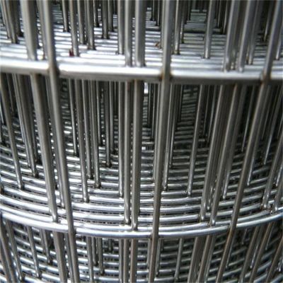Aanpasbaar 4ftx50ft gegalvaniseerd gelast draad mesh kip vogel kooi draad mesh