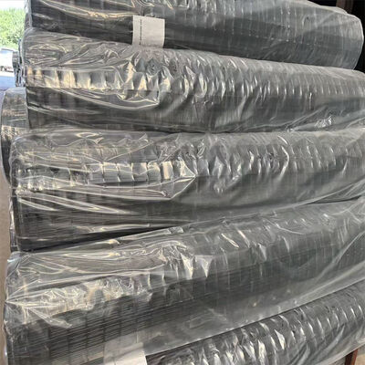 Fabrieksprijs Hoogwaardige 50x50mm Groen PVC-gecoat Holland Gesweisd Draadgaas Zaanpanelen voor Euro Zaan