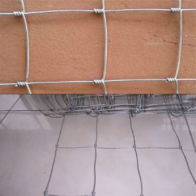Warm gedompeld gegalvaniseerd staal ijzeren hoogspanningsdraad 1.0/1.2/2 m Hoogte 50 m Lengte Veehouderij Vee hekdraad mesh