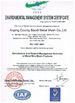 China Anping County Baodi Metal Mesh Co.,Ltd. certificaten
