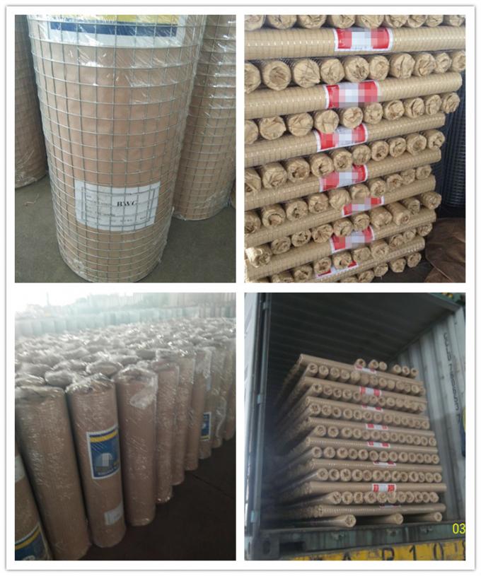 Bouwnet Versterking Gevormd snijpaneel Draadkwaliteit Fibre Cut Fabric Grid Geogrid Mesh 9