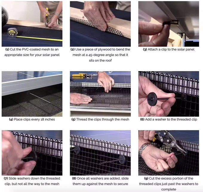 Zwart PVC bedekt gelast draad hek vierkant 1/2 gegalvaniseerd gelast draad gaas in rol 7