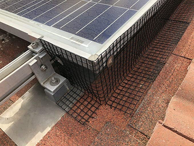 Zwart PVC bedekt gelast draad hek vierkant 1/2 gegalvaniseerd gelast draad gaas in rol 9