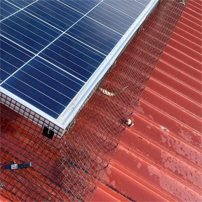 Zwart PVC bedekt gelast draad hek vierkant 1/2 gegalvaniseerd gelast draad gaas in rol 10